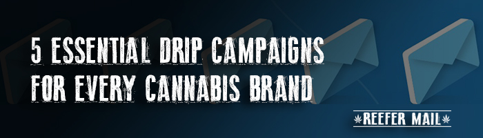 Essential Drip Campaigns Cannabis Brands