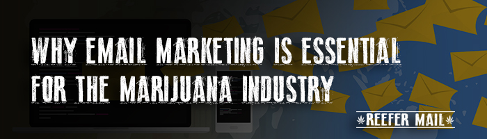 email marketing essential marijuana industry