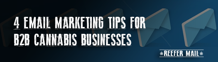 email marketing tips b2b cannabis businesses